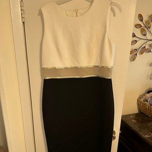 Calvin Klein Dress  (Black, white, with a band of champagne and gold)